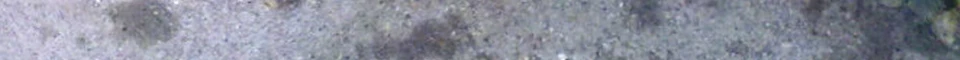 ENG_59