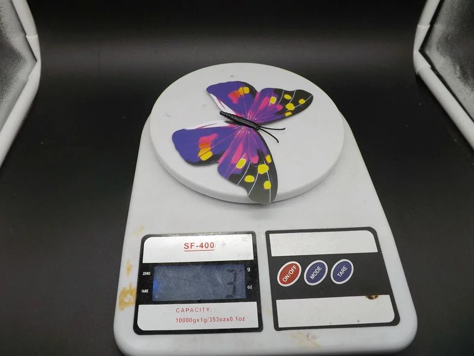 I193-Butterfly (13)