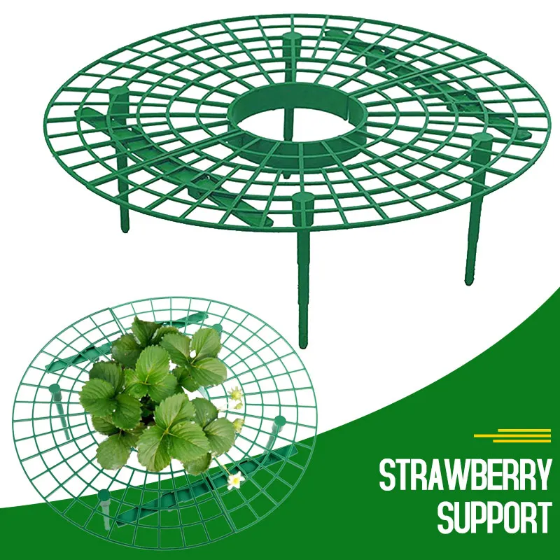 Клубника посадка клубника поддерживает клубника выращивание орнамент овощи креативный пластик удобный