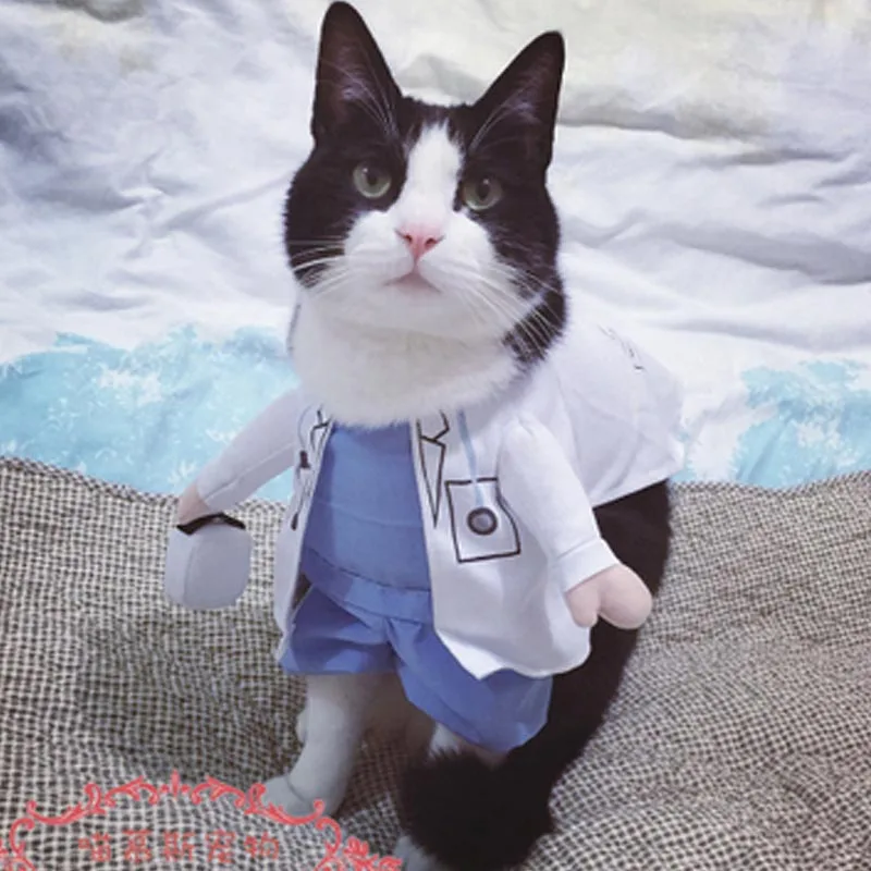 Buy Funny Halloween pet cat dog doctor costume cosplay