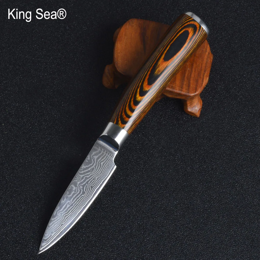 

King Sea 3"Inch Damascus Steel Paring Knife High Quality Kitchen knife Japanese VG10 73 layer Utility Knife Wood Handle