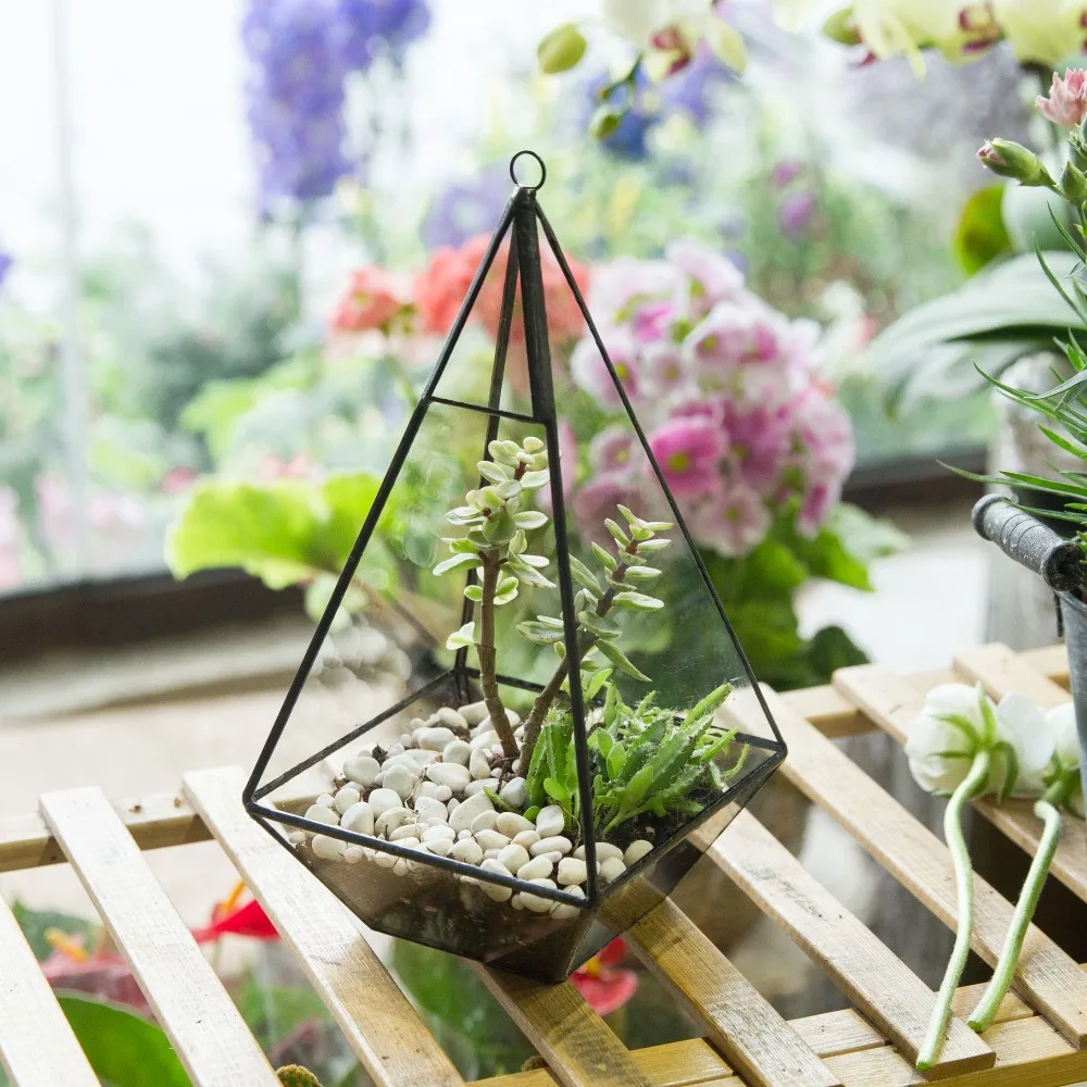 

Modern Hanging Glass Flower Pot Pyramid Geometric Terrarium Succulent Indoor Plant Miniature Landscape Vivaria Bonsai Planter