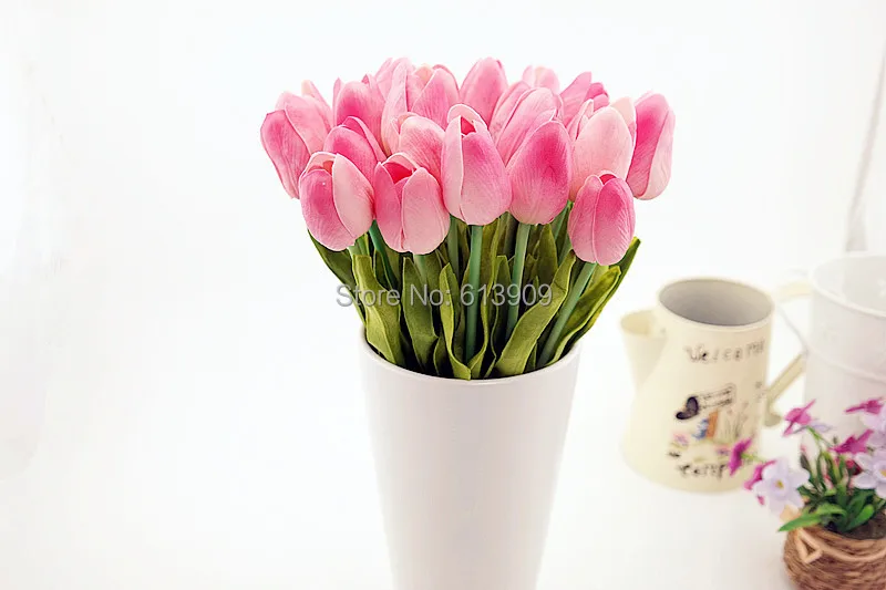 SAM_6454