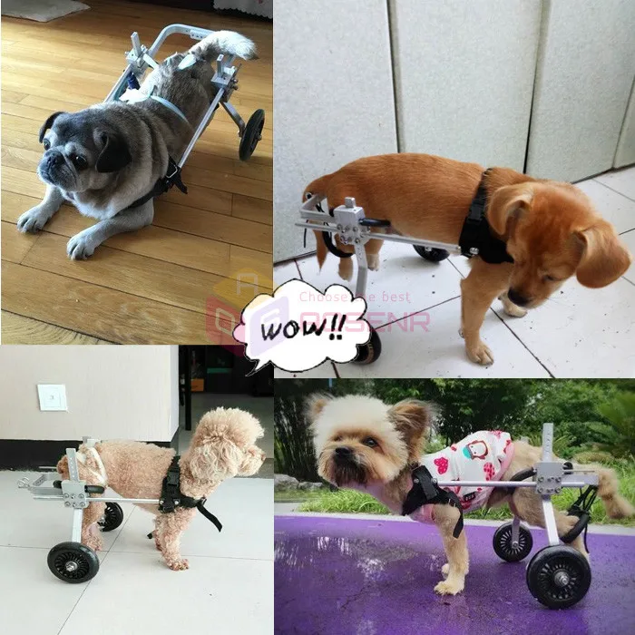 Животное маленькая собака инвалидная коляска для инвалидов собачка корзина для щенка кошка для инвалидов парализованная инвалидная коляска для домашних животных
