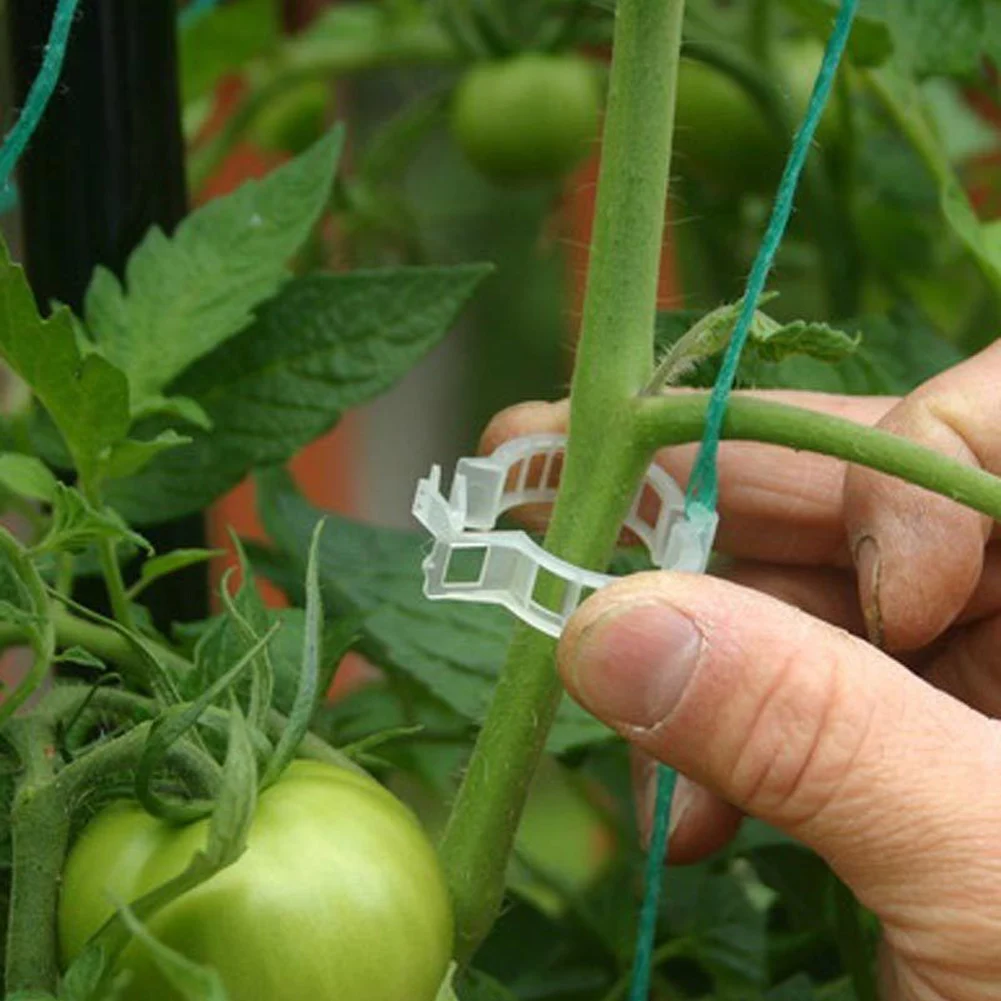 Томат Veggie садовое растение поддержка зажимы для шпагата теплицы США сток