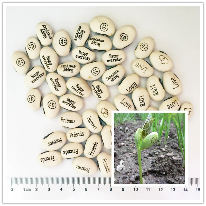 

5-10pcs White LOVE Magic Beans Bonsai Plants Gift Plant Growing Message Word Happy Office Home, Mixed Sent