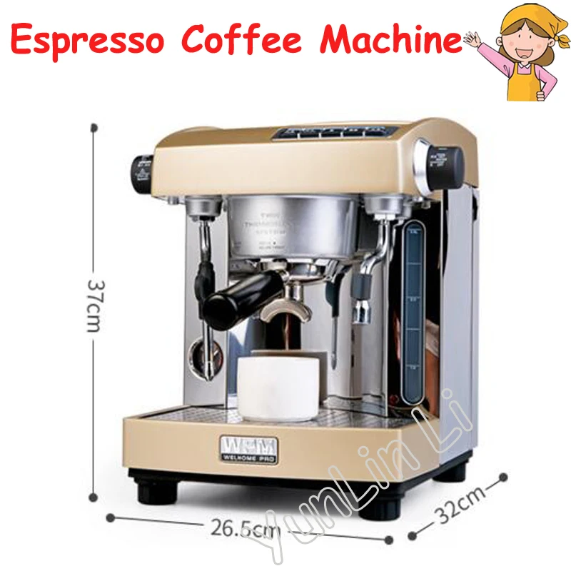 Espresso Cafe Machine Professional Double Pump Espresso Coffee Machine Coffee Maker House Use or Small Coffee Shop