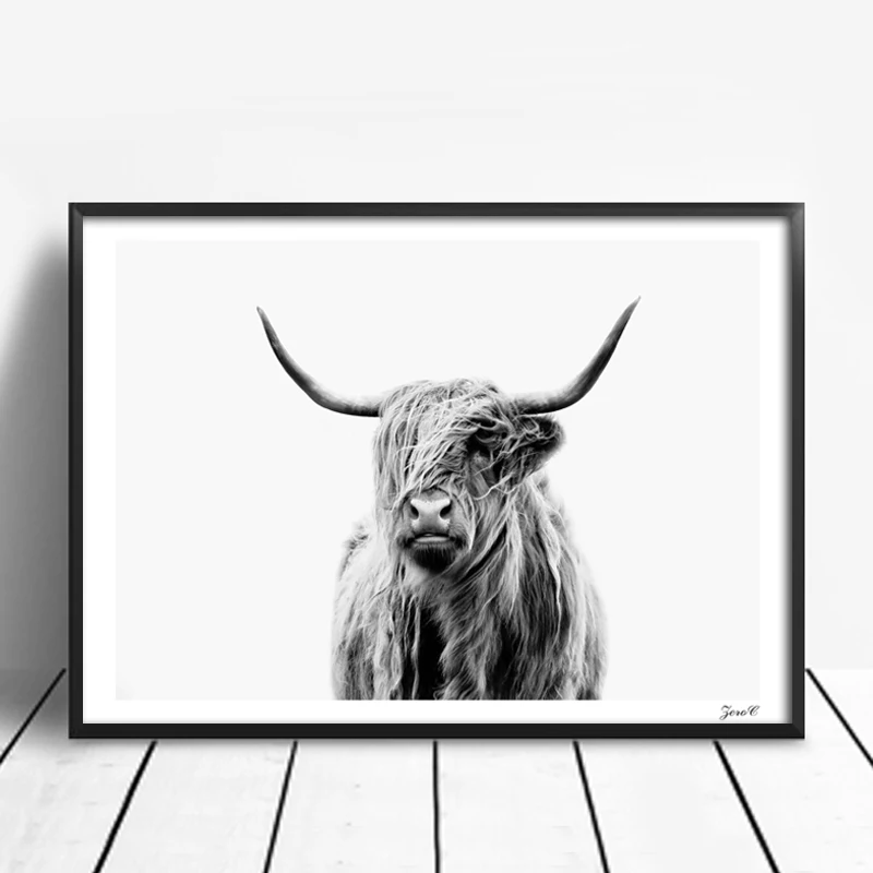 inch frame digital 7 Posters Art Wall Prints Cattle Canvas White Black Highland