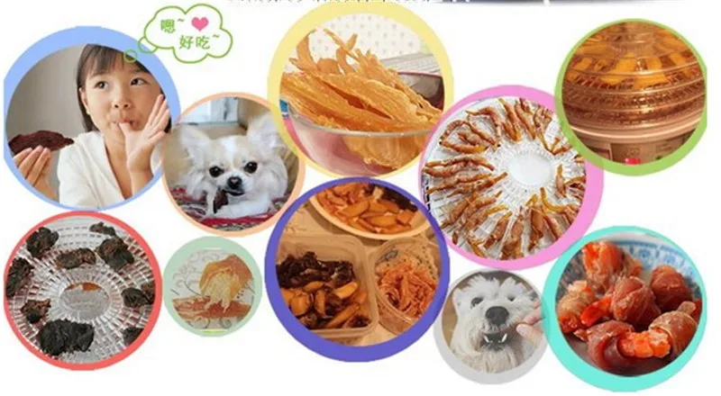 food dryer (13)