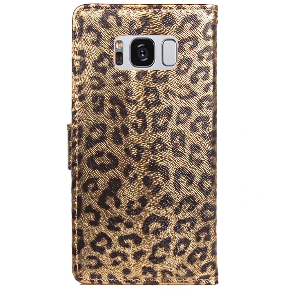 IMG_6534