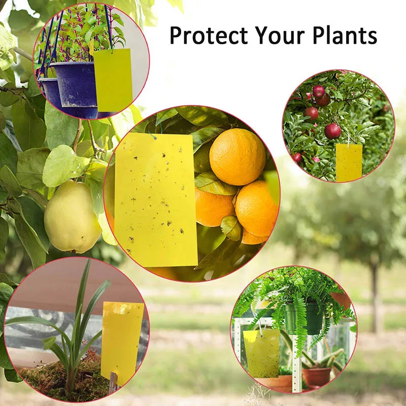 

20 Pcs Dual-Sided Yellow PVC Sticky Traps Flying Plant Insect Trap for Fungus Whiteflies Tablero pegajoso Scheda adesiva UYT