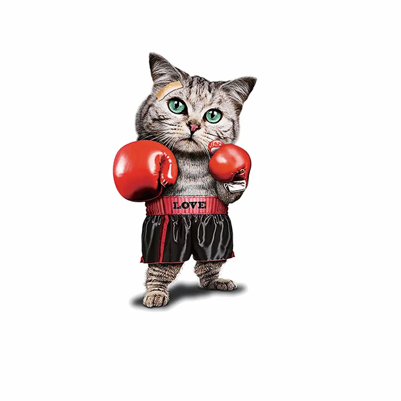 

Cute PVC Patch deal with it Clothes Heat Transfer Printing Cat Boxing T shirt girl iron on patches for clothing women Stickers