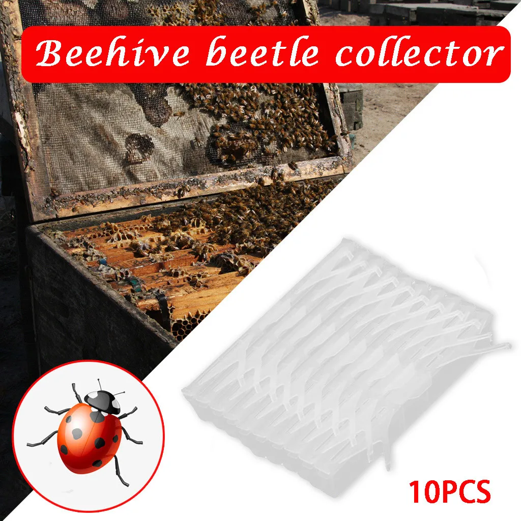 Пчеловодство 10 шт. пестициды приманка Жук ловушка без ядов инструменты для пчеловодства инструмент для улья оборудование для пчеловодства bijen