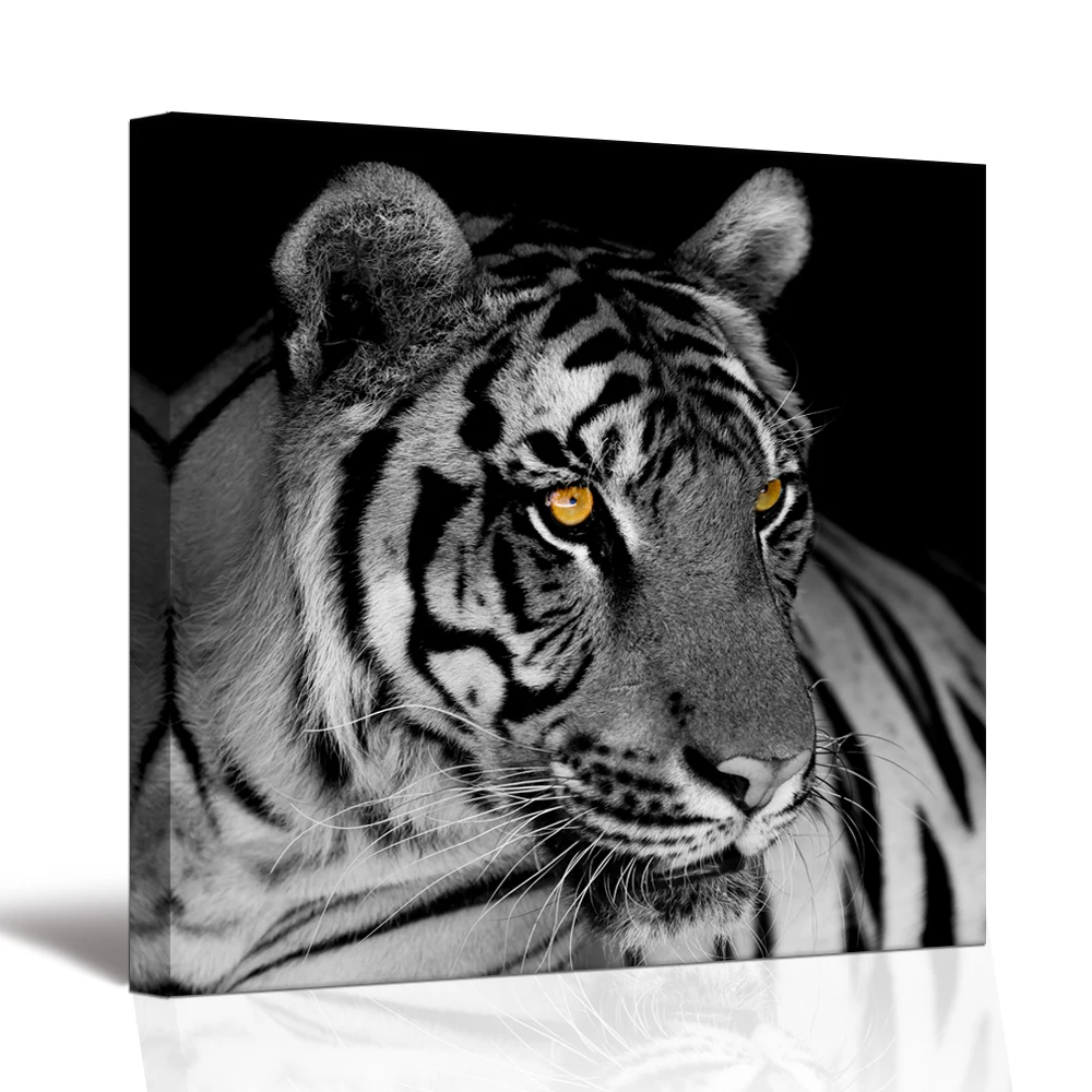 Visual Art Decor 1 Panel White Tiger Canvas Painting Gold Eye Animal