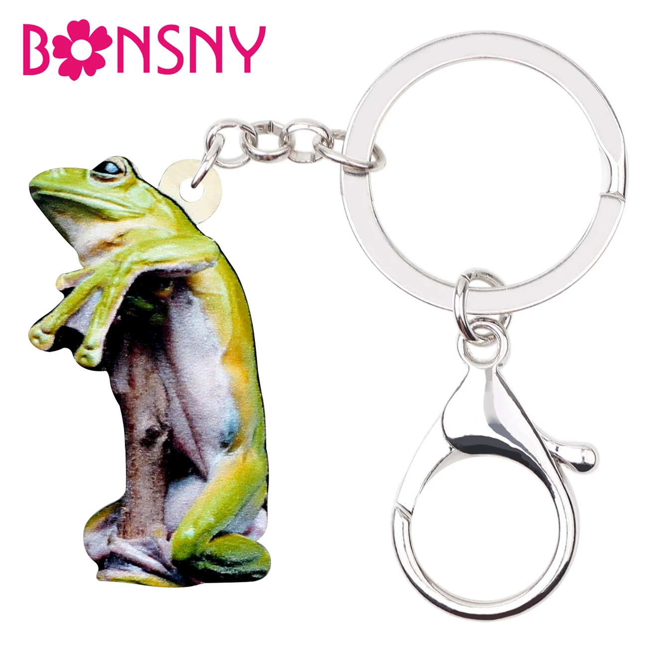Bonsny Acrylic Novelty Frog Key Chains Keychains Rings Holder Animal