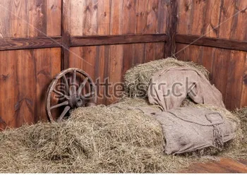 

farm backdrop Vinyl cloth High quality Computer printed barn photography studio farmhouse background