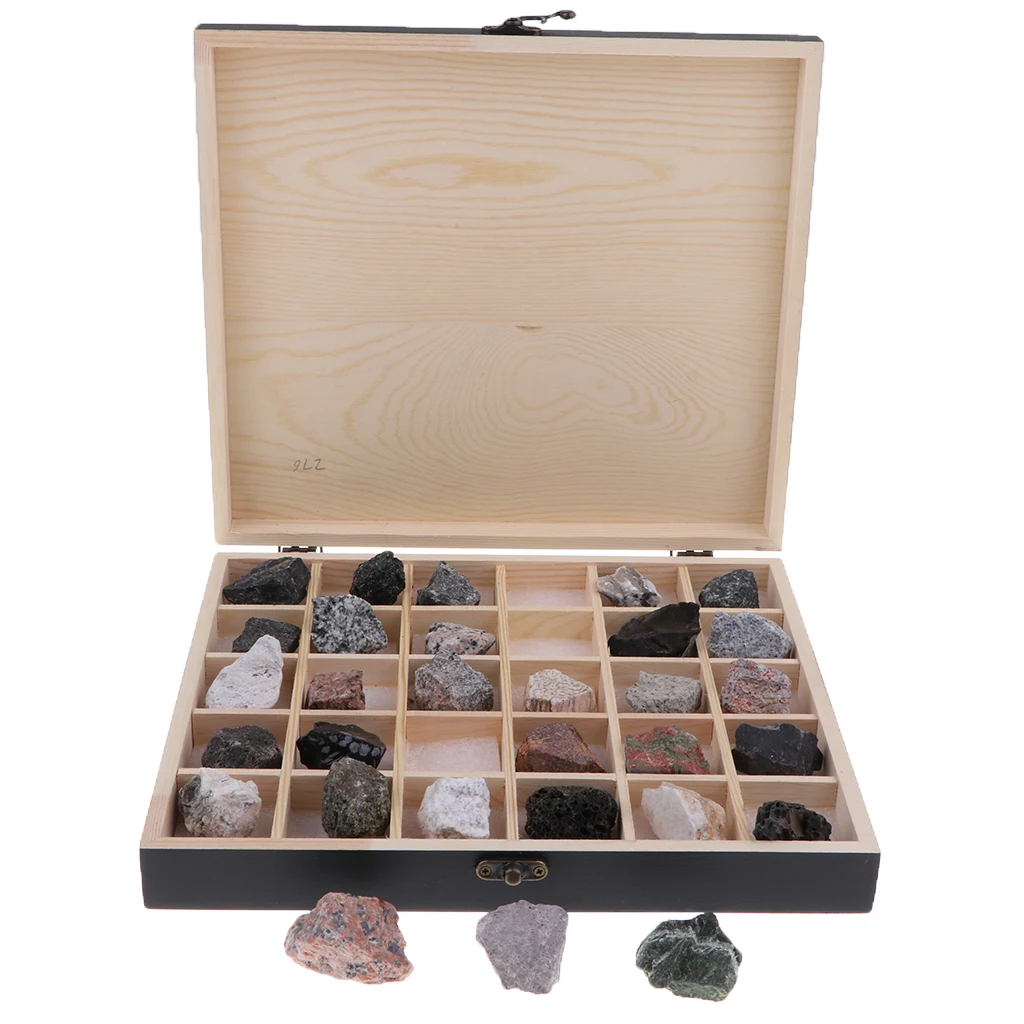 30pcs/Set Rocks and Minerals Collection - Igneous Rock Specimens Geology Earth Science Toy School Teaching Aids Tool