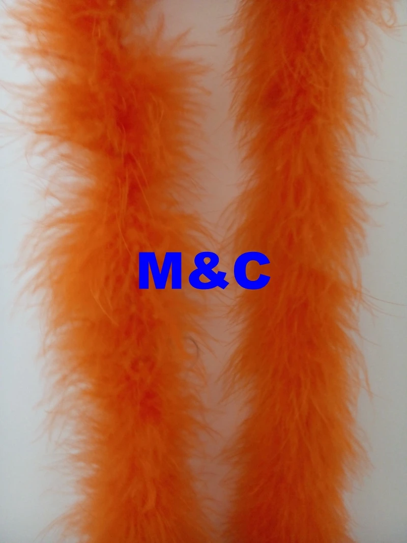 IMG20141017111815_