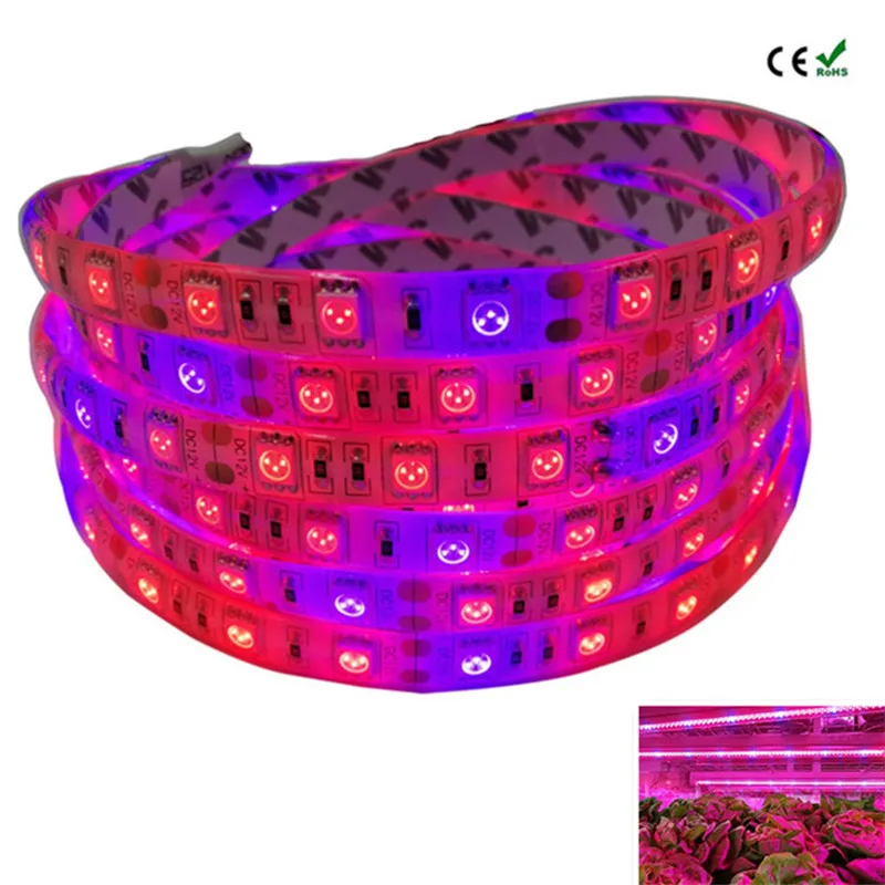 

DC 12V LED Grow light Full Spectrum 5M LED Strip light 5050 LED Phyto Plant Growth lamps For Greenhouse Hydroponic Plant Growing