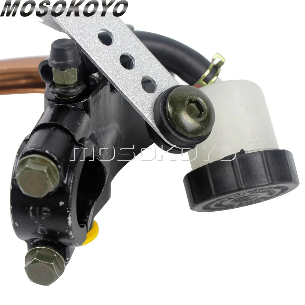 BP-06(18)