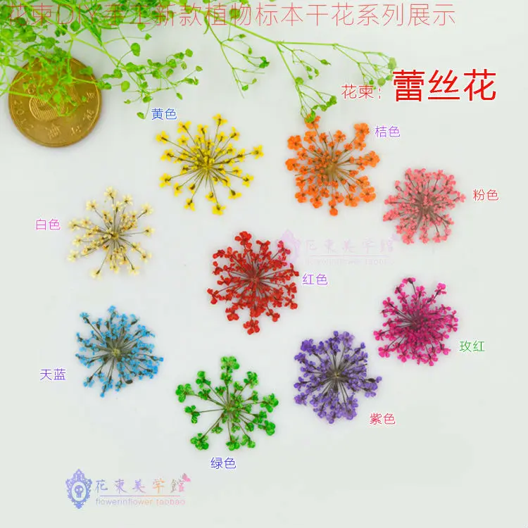 

Flower Invitation Lace Dried Flowers_ Natural Pressed Flowers For Ring and Bangle Mold Art DIY leisi