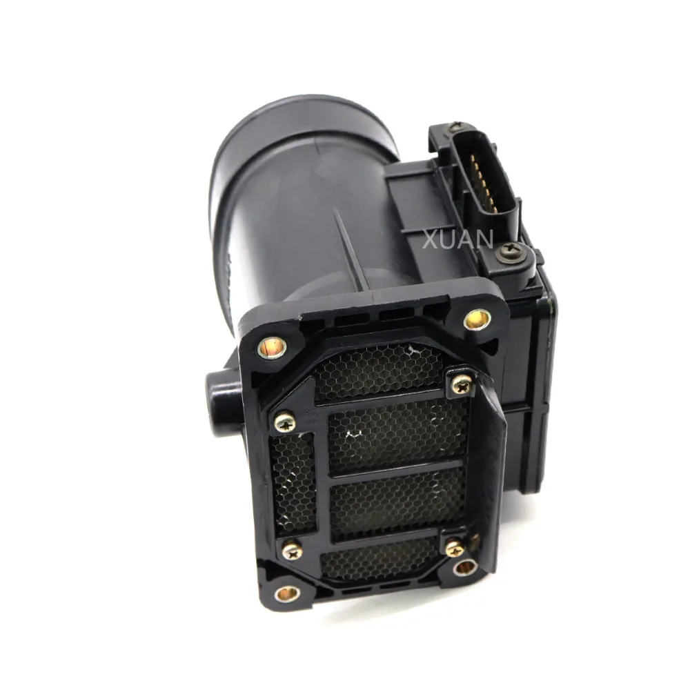 E5T06071(3)
