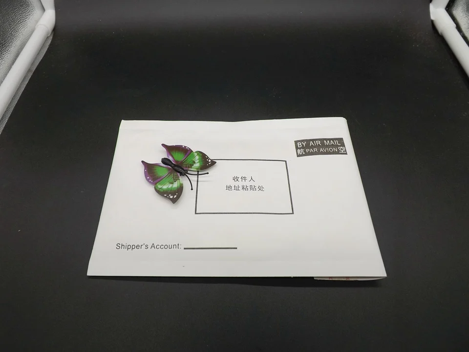 I253-Butterfly (14)