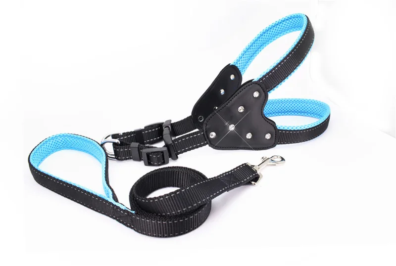 12 puppy collar 