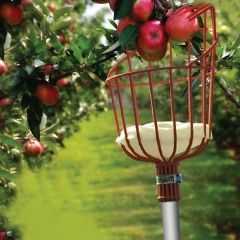 

Home Fruit Picker Harvester Basket with Cushion Garden Fresh Fruit Picker JDH99