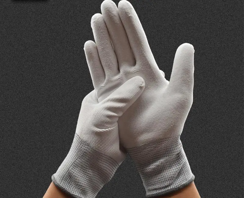 palm