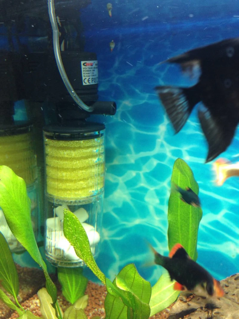 UT8GpmqXJ4aXXagOFbXA_