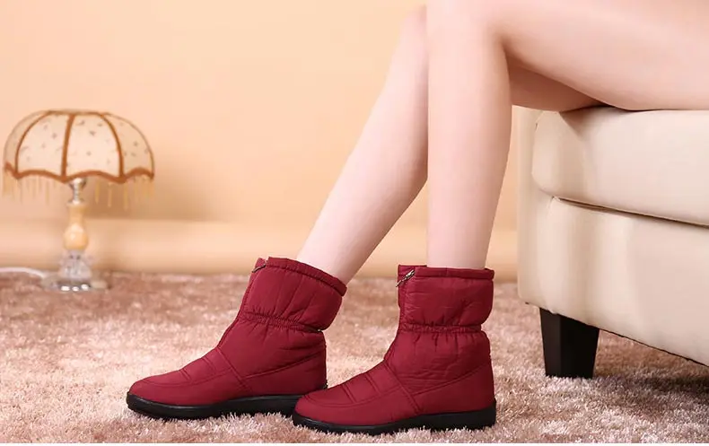 8490606764_1621013569_01