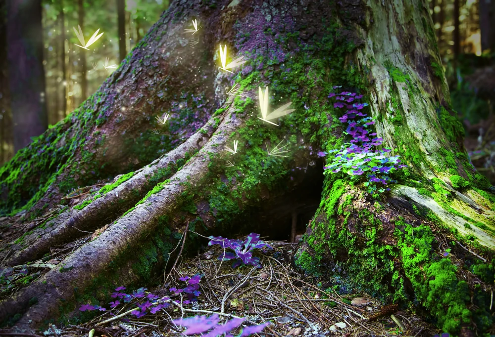 Фотофоны HUAYI magic surreal Зачарованный лес с светлячками виниловые Портретные фото