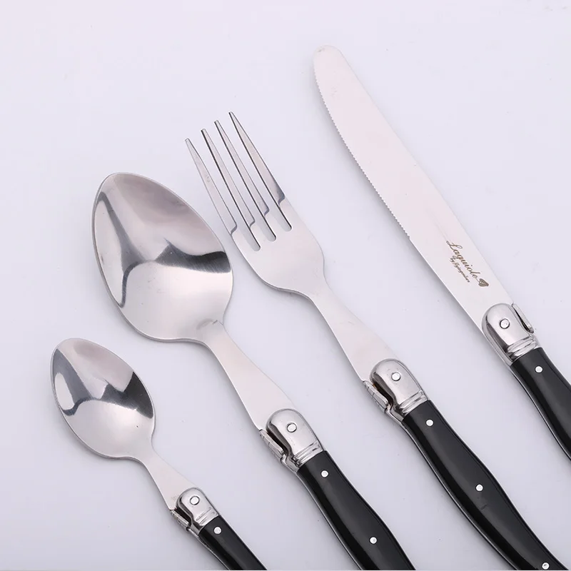 laguiole dinnerware set  (5)