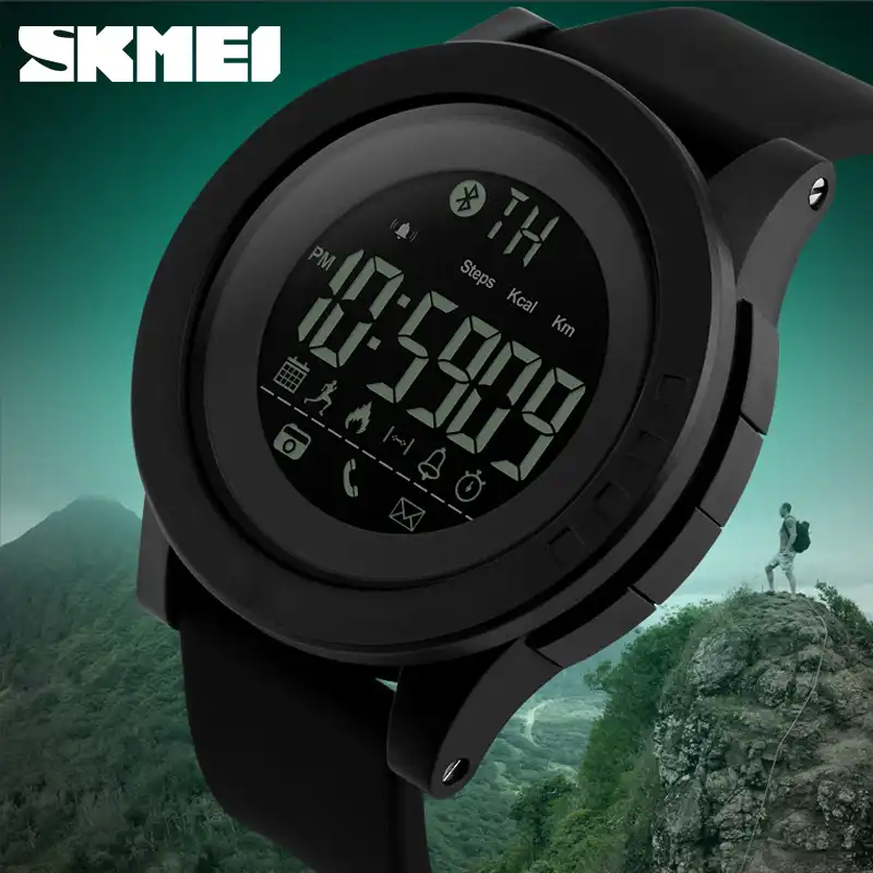 skmei 1255 price