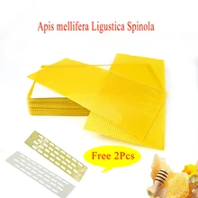 5 шт. профессиональные пчелиные скребок для воска foundtion apis mellifera итальянские пчелиные улей соты Пчеловодство поставки apiculture equipement