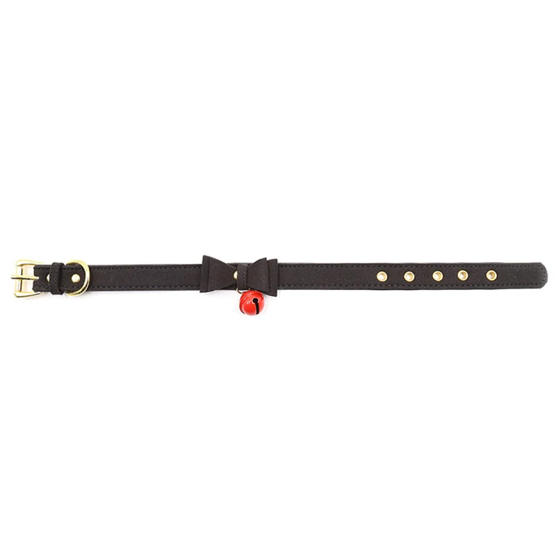 leather collar (10)