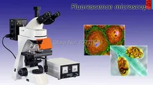 Hot sale 40X-1000X Infinity Plan trino Fluorescence Microscope , Well sold In EU , USA , Latin American