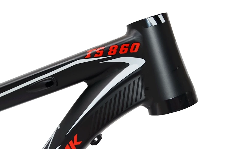 TS860 (2)