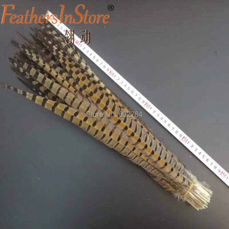 

Factory Wholesale 100pcs/lot 18inch ~20inch (45-50cm) Raw feather white and black Ringneck Pheasant Tail Feathers