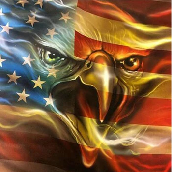 

DIY Diamond Painting Owl Diamond Mosaic National Flag Picture Of Rhinestones Diamond Embroidery Cross Stitch Home Decor L1133