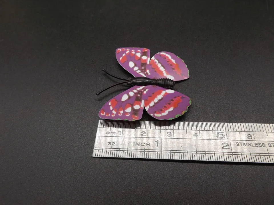I247-Butterfly (11)