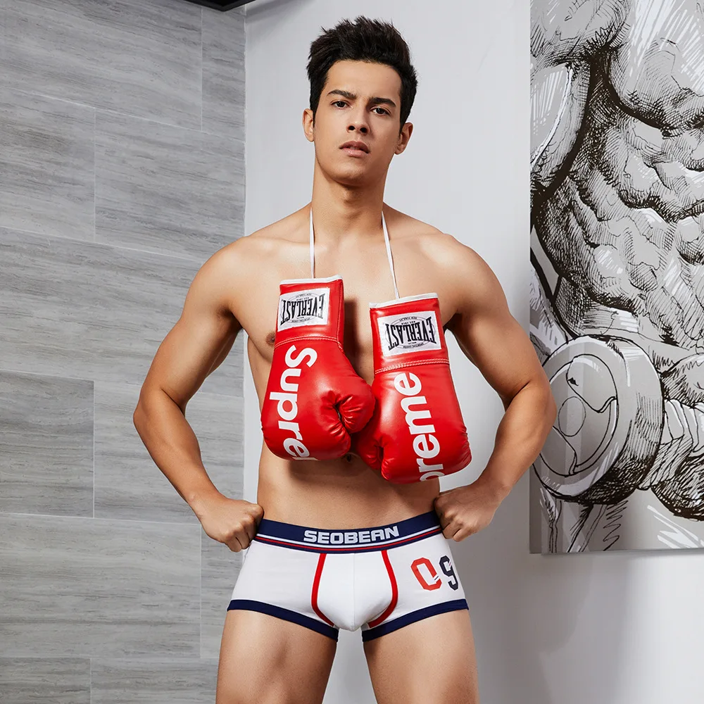 Men Underwear Boxer Cotton Ropa Interior Hombre Cueca Masculina Calzoncillo Hombre Boxershorts Men Sous Vetement Homme