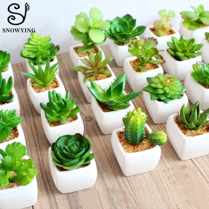 New 60 models Rare Artificial Succulent Plant Cactus font b mini b font Potted Plants Desk