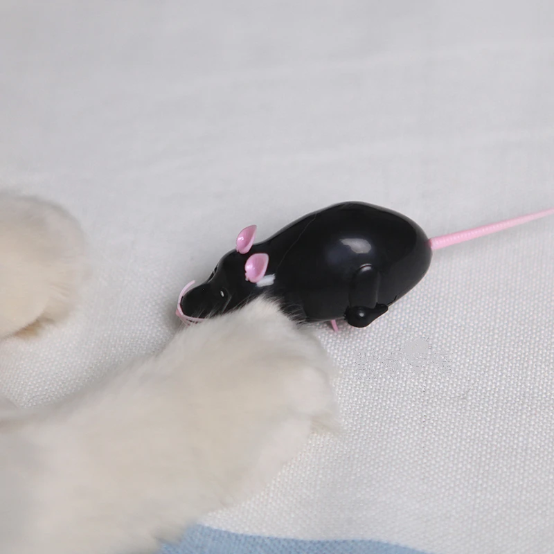 [Магазин MPK] игрушка для кошек на батарейках, черный муравей/мышь, Белый муравей/мышь, электрическая быстро движущаяся игрушка, серия игрушек для кошек