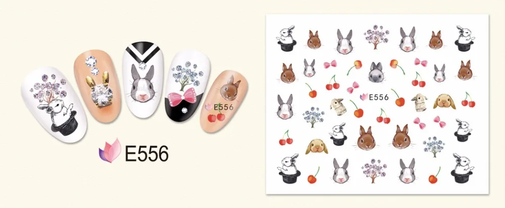 E556