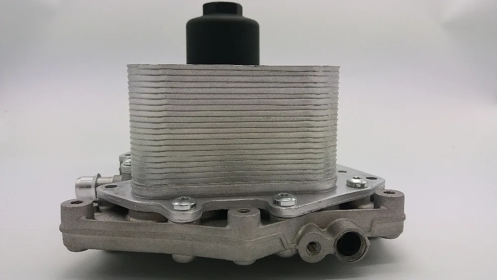 LR022895  (9)
