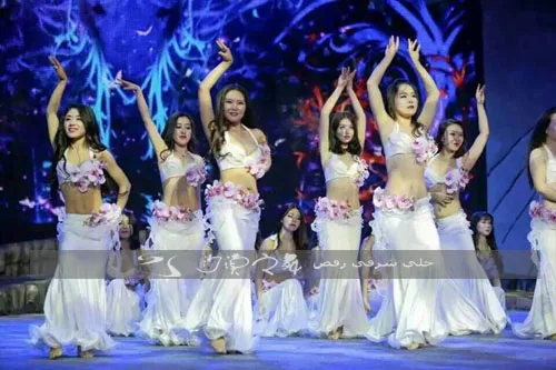 Восточные Танцевальные Костюмы Bellydance индийские восточные египетские