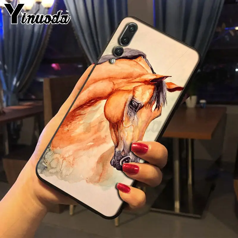 horse animal