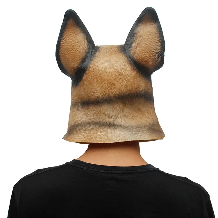 Gags e Câmera Escondida do partido do traje do Tema : Animais